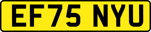 EF75NYU