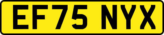 EF75NYX