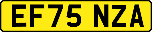 EF75NZA
