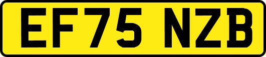 EF75NZB