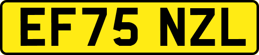 EF75NZL