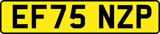 EF75NZP