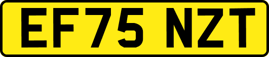 EF75NZT