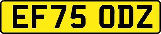 EF75ODZ