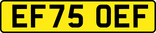EF75OEF