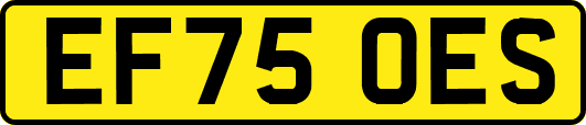 EF75OES