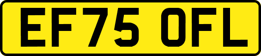EF75OFL