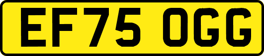 EF75OGG