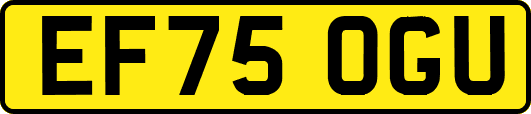 EF75OGU