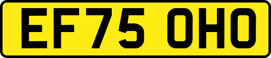 EF75OHO