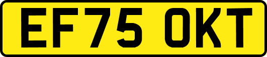 EF75OKT