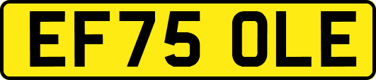 EF75OLE
