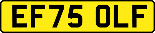 EF75OLF
