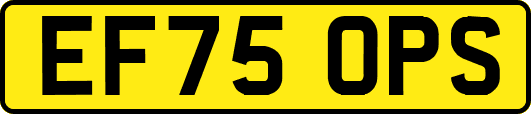 EF75OPS