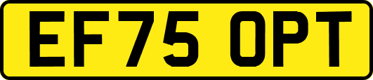 EF75OPT