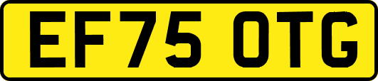 EF75OTG