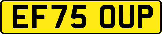 EF75OUP