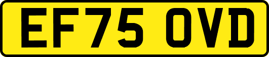EF75OVD