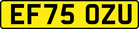EF75OZU