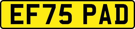 EF75PAD
