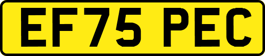 EF75PEC