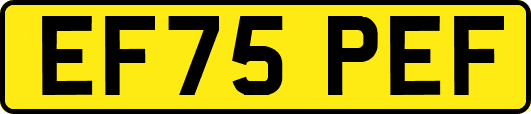 EF75PEF