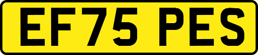 EF75PES