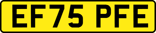 EF75PFE
