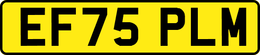 EF75PLM