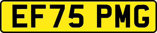 EF75PMG