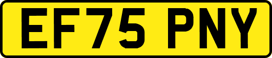 EF75PNY