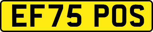 EF75POS