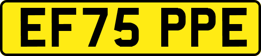 EF75PPE