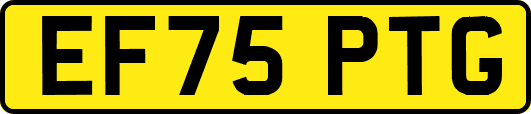 EF75PTG