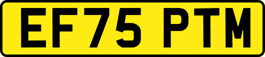 EF75PTM