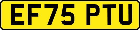 EF75PTU