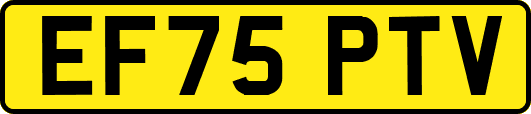 EF75PTV