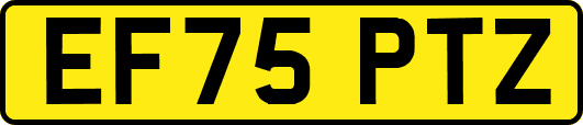 EF75PTZ