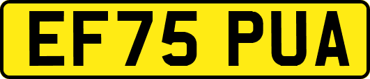EF75PUA