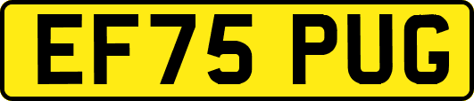 EF75PUG
