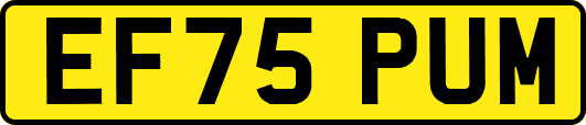 EF75PUM