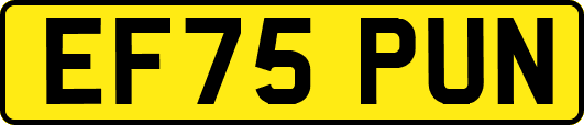 EF75PUN