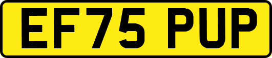 EF75PUP