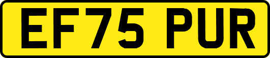 EF75PUR