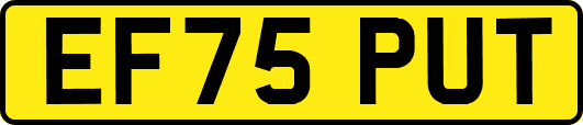 EF75PUT