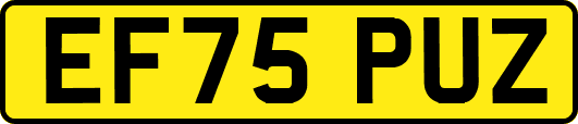 EF75PUZ