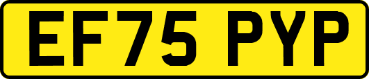 EF75PYP