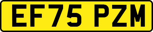 EF75PZM