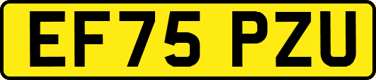 EF75PZU