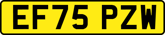 EF75PZW
